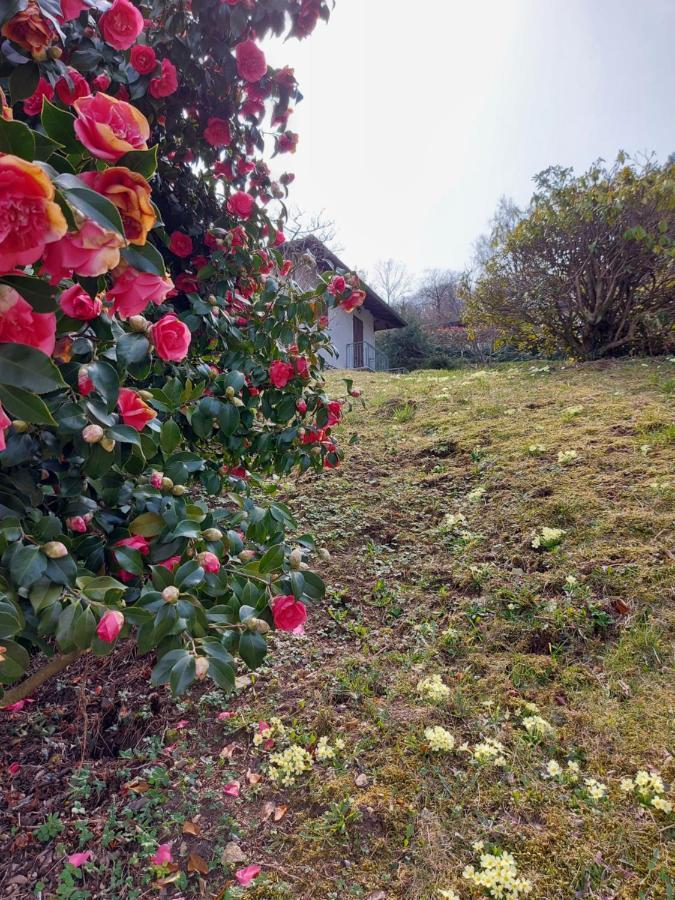 La Casa Delle Camelie Villa Стреза Екстериор снимка