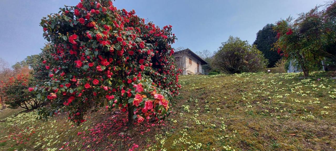 La Casa Delle Camelie Villa Стреза Екстериор снимка
